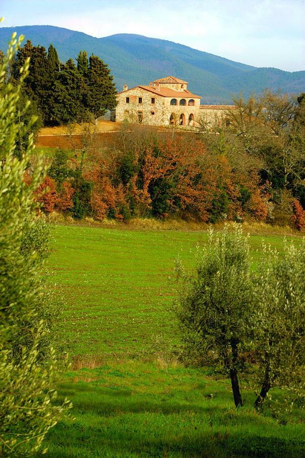 Casali Di Casole - Timbers Tuscany Casole dʼElsa Kültér fotó